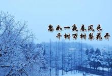 日常生活:忽如一夜春風(fēng)來(lái)是描寫的什么季節(jié)