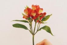 日常生活：勞動(dòng)節(jié)祝福語(yǔ)精選