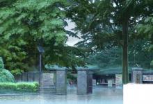 日常生活：下雨前動(dòng)物有哪些征兆