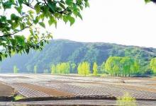日常生活:左權(quán)縣屬于哪個(gè)市
