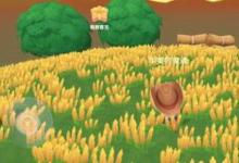 日常生活:摩爾莊園手游ios和安卓可以一起玩嗎