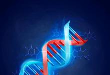 日常生活:dna分子是什么結(jié)構(gòu)