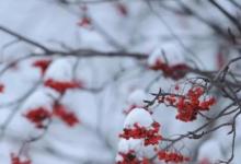 日常生活：立冬節(jié)氣的含義是什么