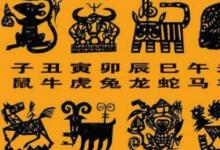日常生活：屬相是按陰歷還是陽歷