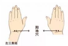 日常生活：陽池穴穴位位置圖及作用