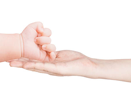 幼兒簡(jiǎn)筆畫(huà)小麻雀3