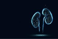 牽?；ê?jiǎn)筆畫(huà)步驟