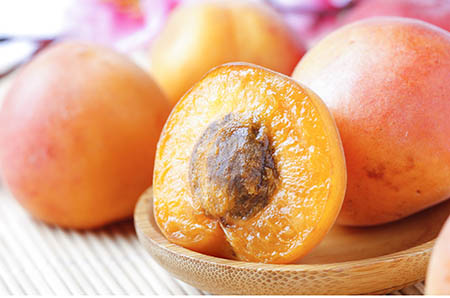 兇狠的鯊魚簡(jiǎn)筆畫1