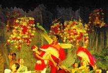 日常生活:秀山花燈主要在什么期間表演