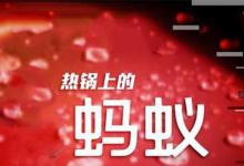 日常生活：熱鍋上的螞蟻歇后語下一句是什么