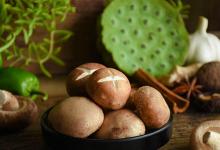 可愛(ài)簡(jiǎn)單的斑馬棒圖