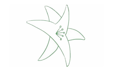 母親節(jié)百合花簡筆畫2