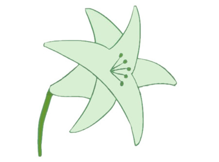 母親節(jié)百合花簡筆畫4