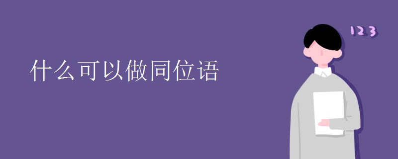 什么可以做同位語