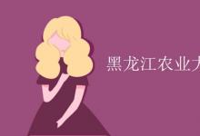 教育資訊:黑龍江農(nóng)業(yè)大學(xué)是985還是211