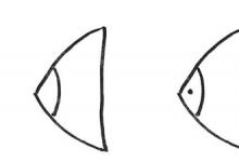 用彩色簡筆畫熱帶魚