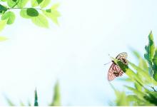 稻草人簡(jiǎn)筆畫步驟