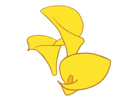 馬蹄蓮簡筆畫步驟4