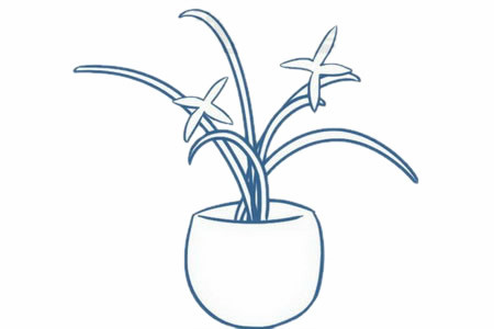 蘭花簡(jiǎn)筆畫步驟3