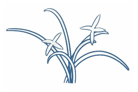 蘭花簡(jiǎn)筆畫步驟2