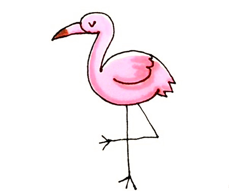 火烈鳥簡(jiǎn)筆畫彩色4