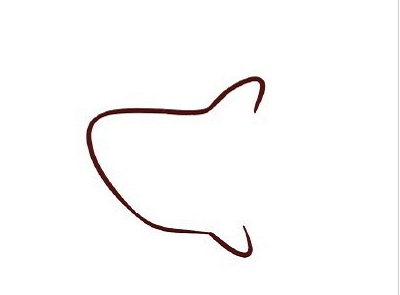 如何畫鯊魚簡筆畫步驟 幼兒園畫鯊魚的簡筆畫步驟1