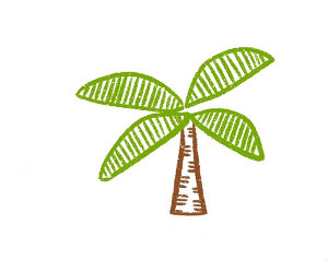 椰子樹簡筆畫帶顏色3