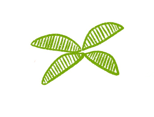 椰子樹簡筆畫帶顏色2