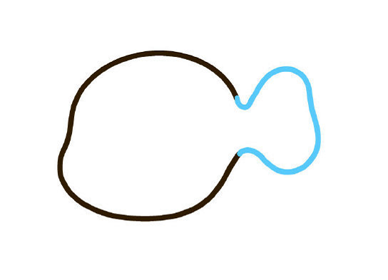 小丑魚怎么畫簡(jiǎn)筆畫圖片1