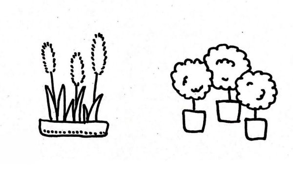 植物盆栽簡筆畫圖片大全9