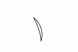 水稻簡(jiǎn)筆畫(huà)步驟圖 水稻怎么畫(huà)1