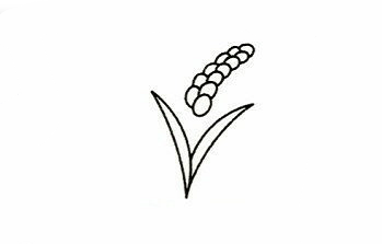 水稻簡(jiǎn)筆畫(huà)步驟圖 水稻怎么畫(huà)3