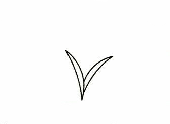 水稻簡(jiǎn)筆畫(huà)步驟圖 水稻怎么畫(huà)2