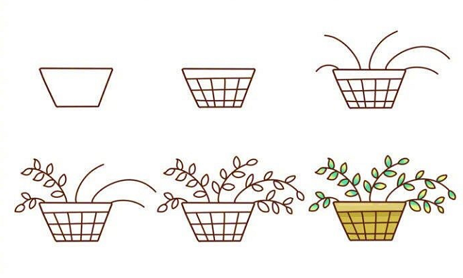 植物盆栽簡(jiǎn)筆畫(huà)圖片帶顏色1