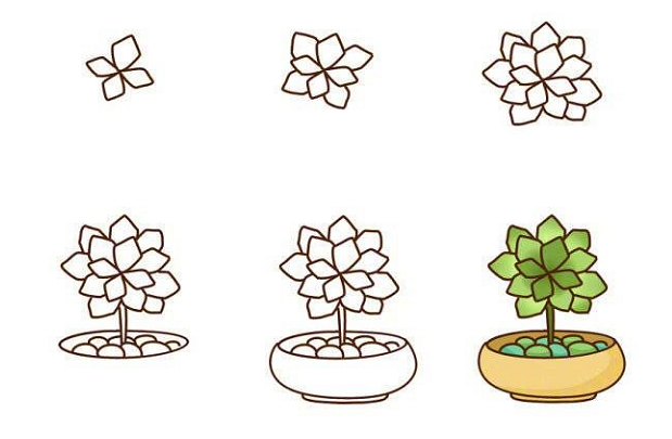 植物盆栽簡(jiǎn)筆畫(huà)圖片帶顏色3