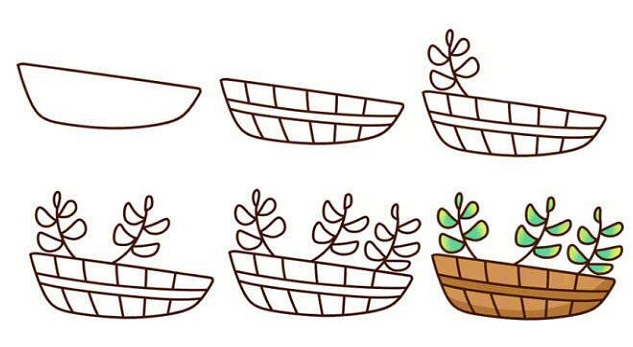 植物盆栽簡(jiǎn)筆畫(huà)圖片帶顏色4