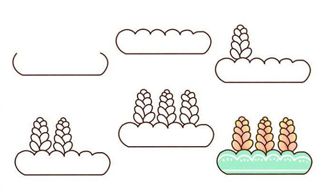 植物盆栽簡(jiǎn)筆畫(huà)圖片帶顏色5
