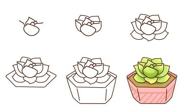植物盆栽簡(jiǎn)筆畫(huà)圖片帶顏色6