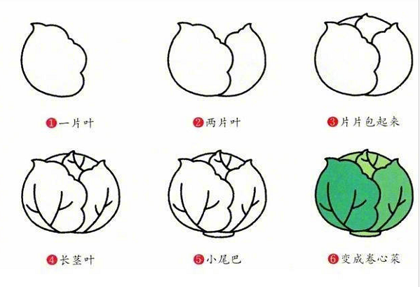 多種蔬菜的簡(jiǎn)筆畫(huà)圖片大全6
