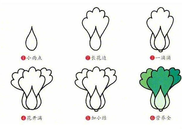 多種蔬菜的簡(jiǎn)筆畫(huà)圖片大全4