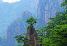 日常生活：黃山四絕指的是哪四個