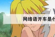 日常生活：網(wǎng)絡(luò)語開車是什么意思