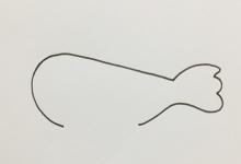 鳥的簡筆畫色帶步驟