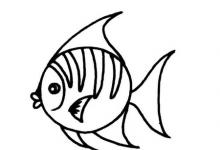 熱帶魚棒人物全集