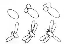 幼兒園動(dòng)物簡(jiǎn)筆畫步圖