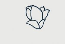 白玉蘭簡(jiǎn)筆畫(huà)步圖