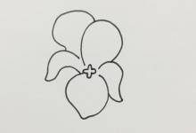 如何畫紫羅蘭簡(jiǎn)單又漂亮