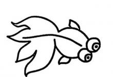大眼睛金魚(yú)的圖片簡(jiǎn)筆畫(huà)