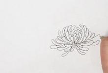 菊花簡(jiǎn)筆畫