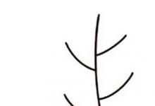 蒲公英簡(jiǎn)筆畫(huà)步驟圖